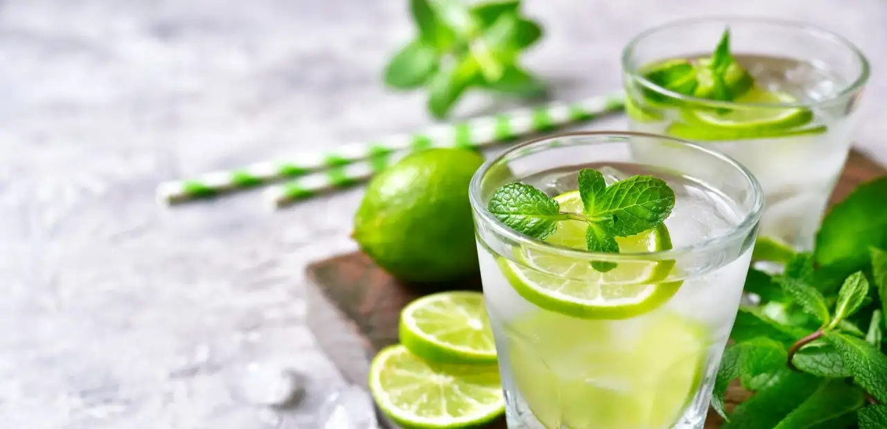 Alkolsüz Mojito Tarifi