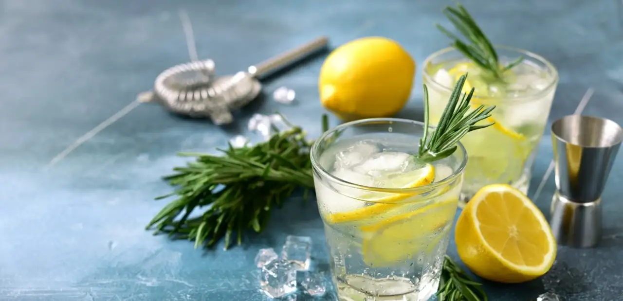Cin Fizz Tarifi