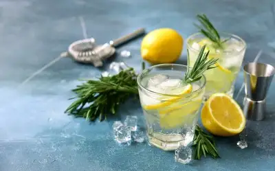Cin Fizz Tarifi