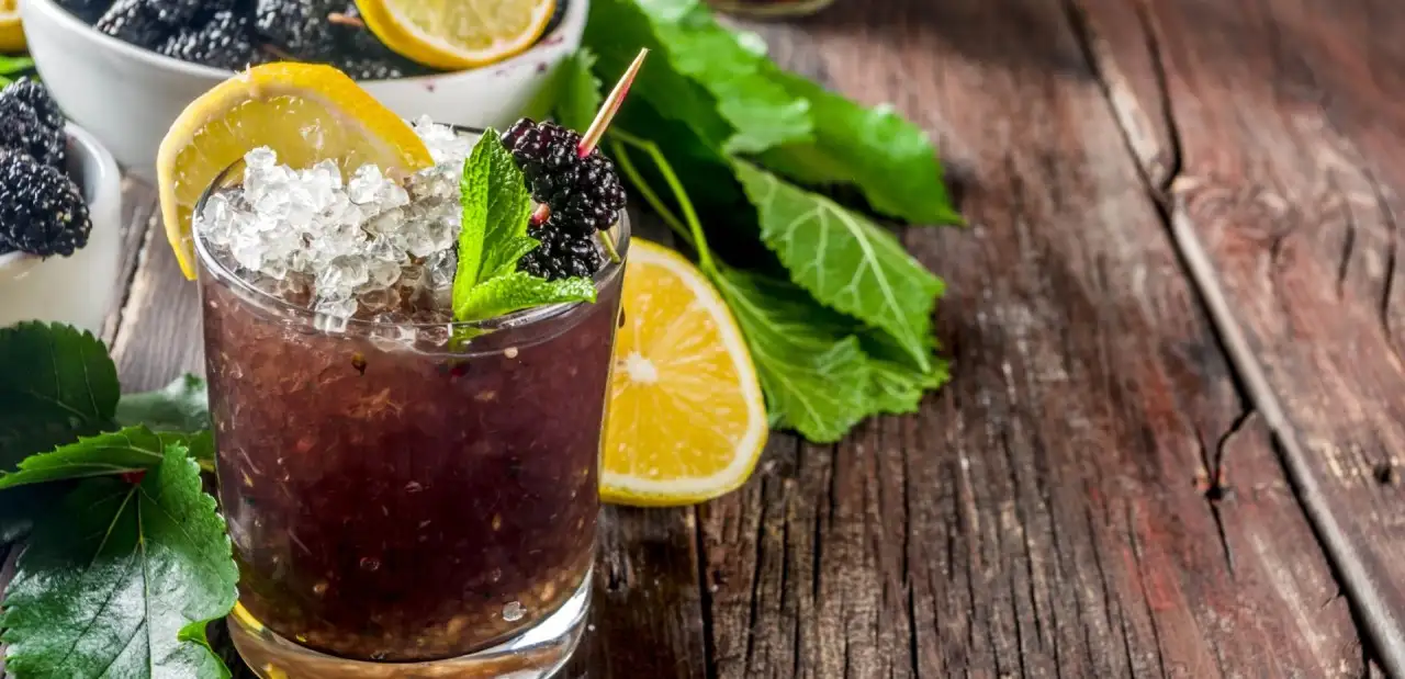 Alkolsüz Kokteyl Tarifleri: Yapımı Kolay ve Pratik 12 Mocktail Tarifi