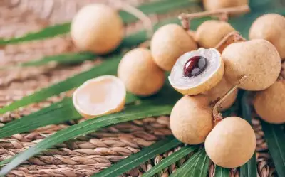Longan