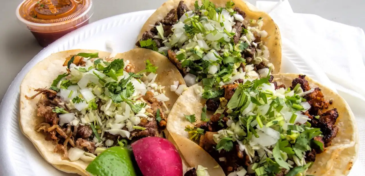 Pratik Taco Tarifi