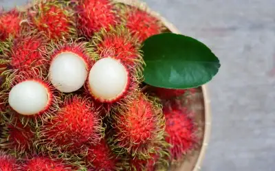 Rambutan